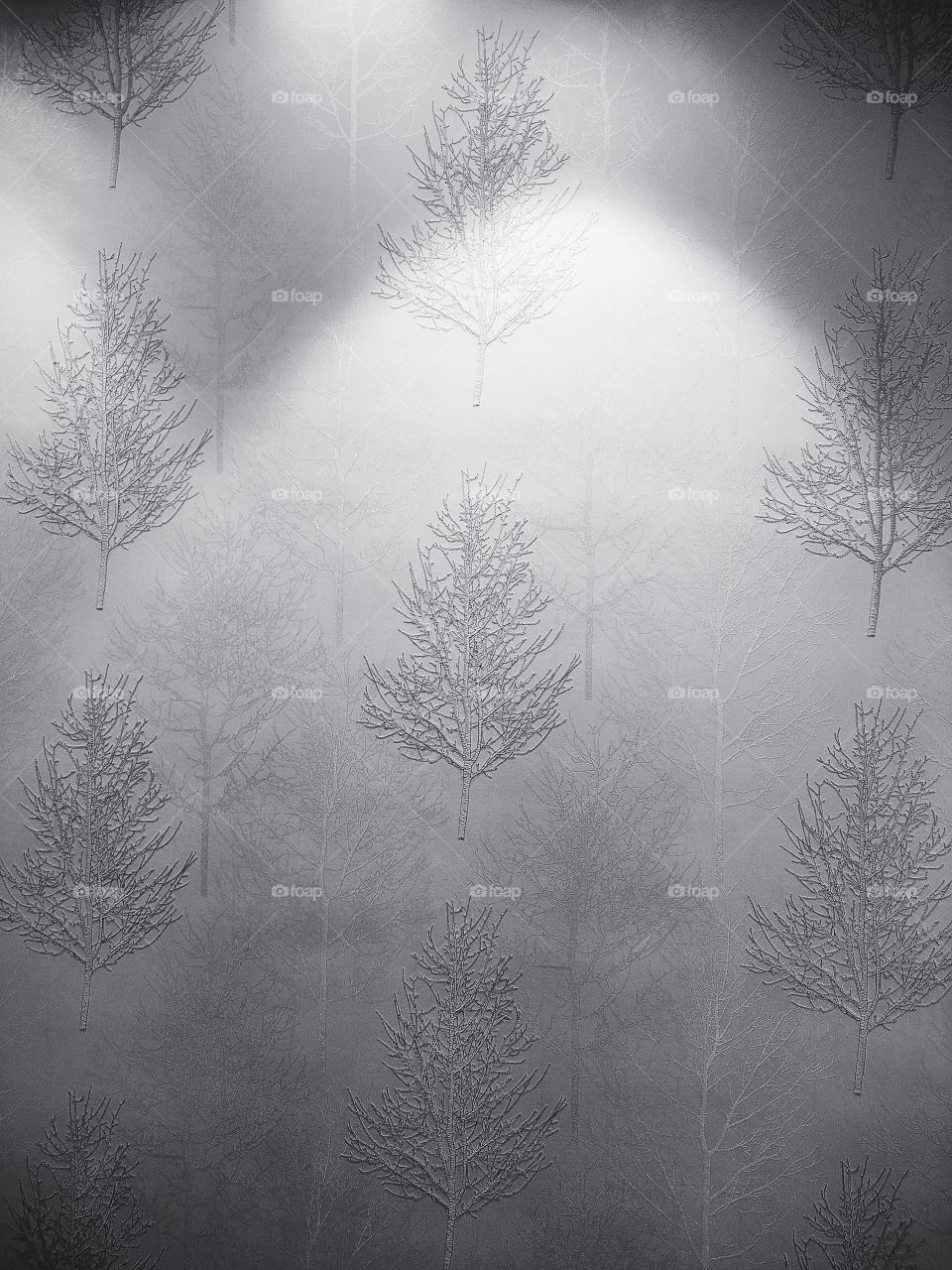 Tree design wallpaper For Hall decoration