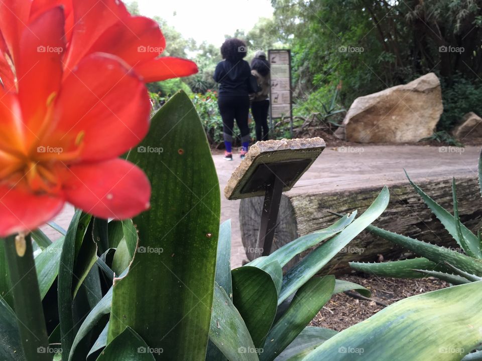 Up close and personal 
