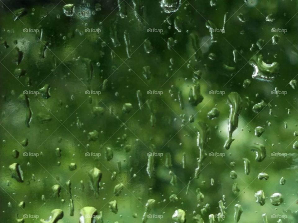 drops of rain on my window