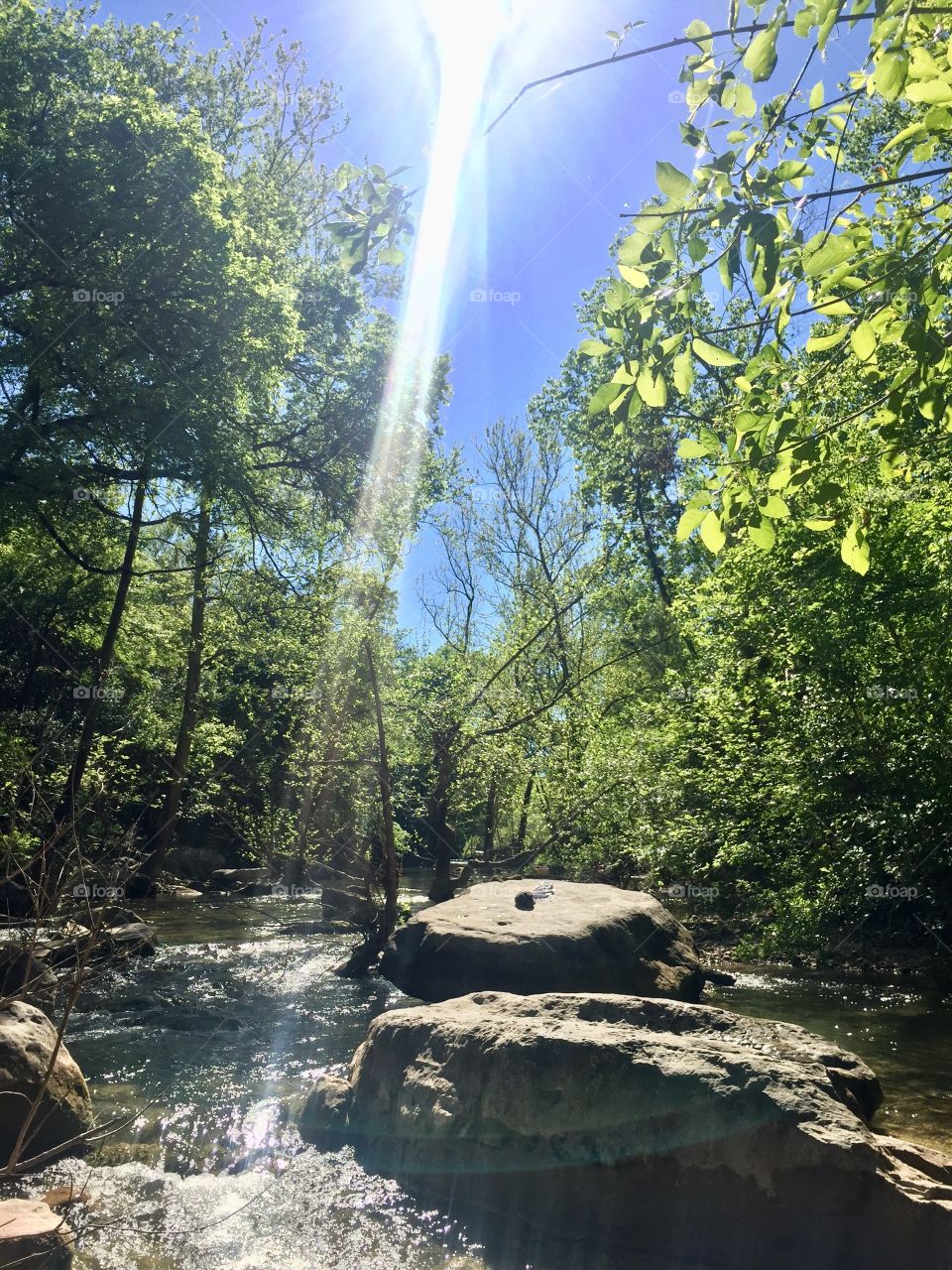 Hiking in Austin, TX