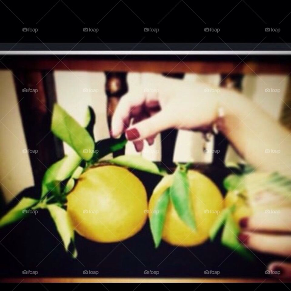 #orange #nature #hand #Hands #delicate #yellow #cute #oldpicture 