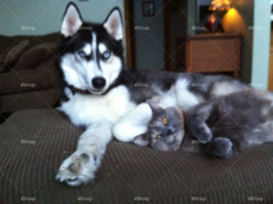 Resting with my buddy
