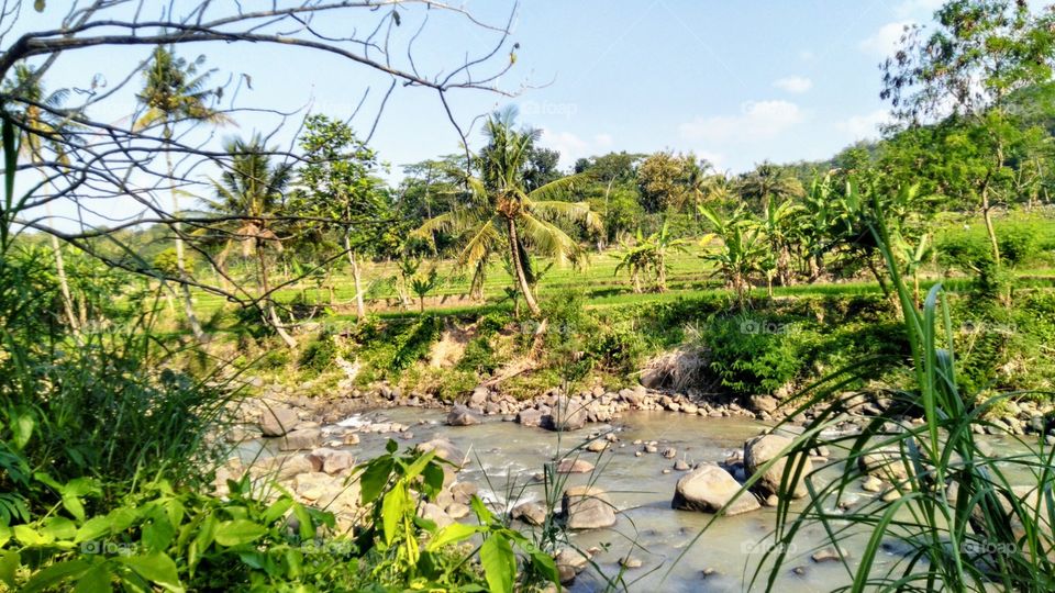 View of the surrounding river