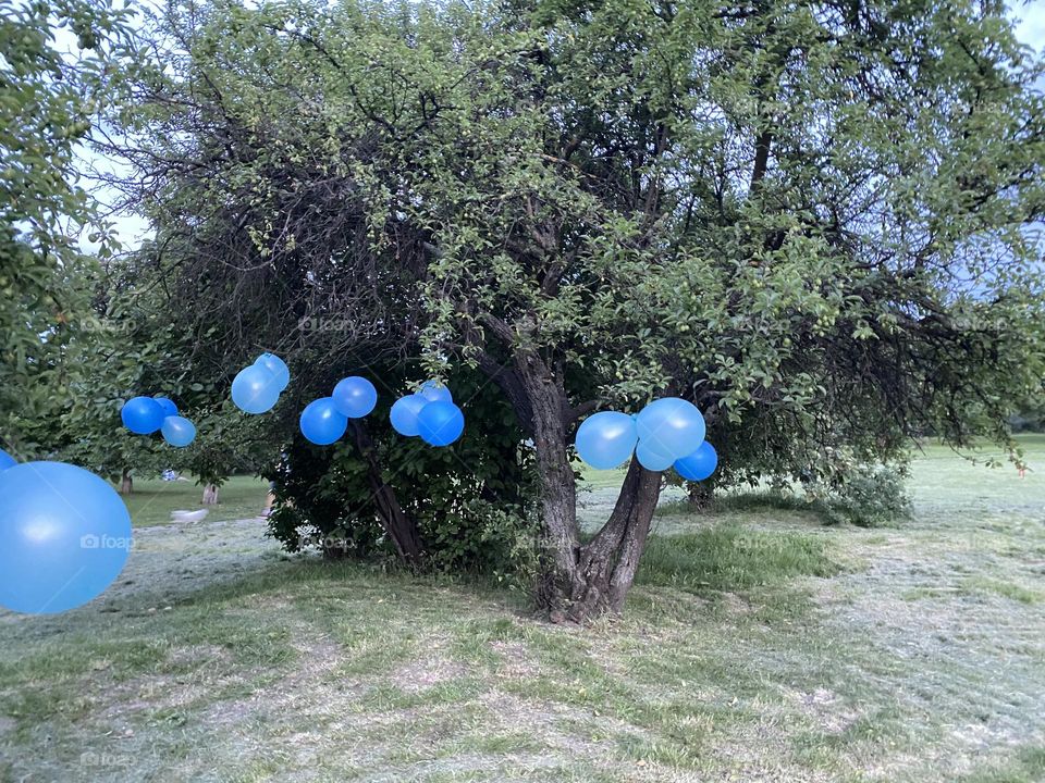 Blue balloons in the park 