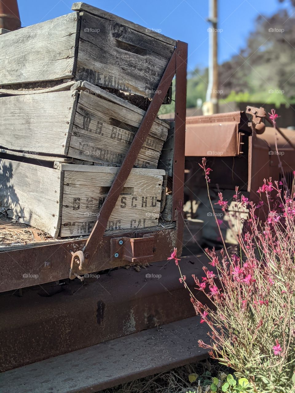 old cars and flowers