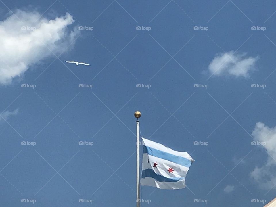 Chicago flag 