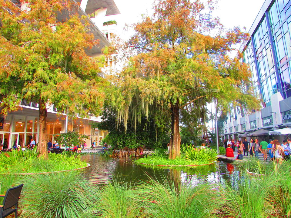 This exotic garden is along the famous road in Miami Beach