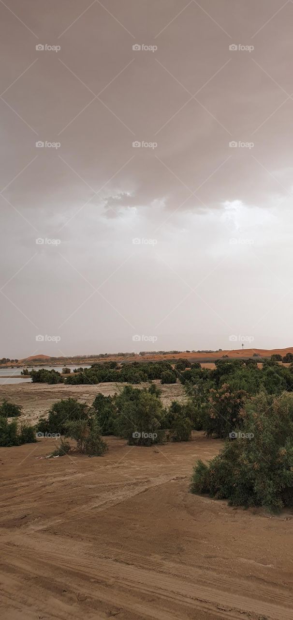 The lake in UAE desert