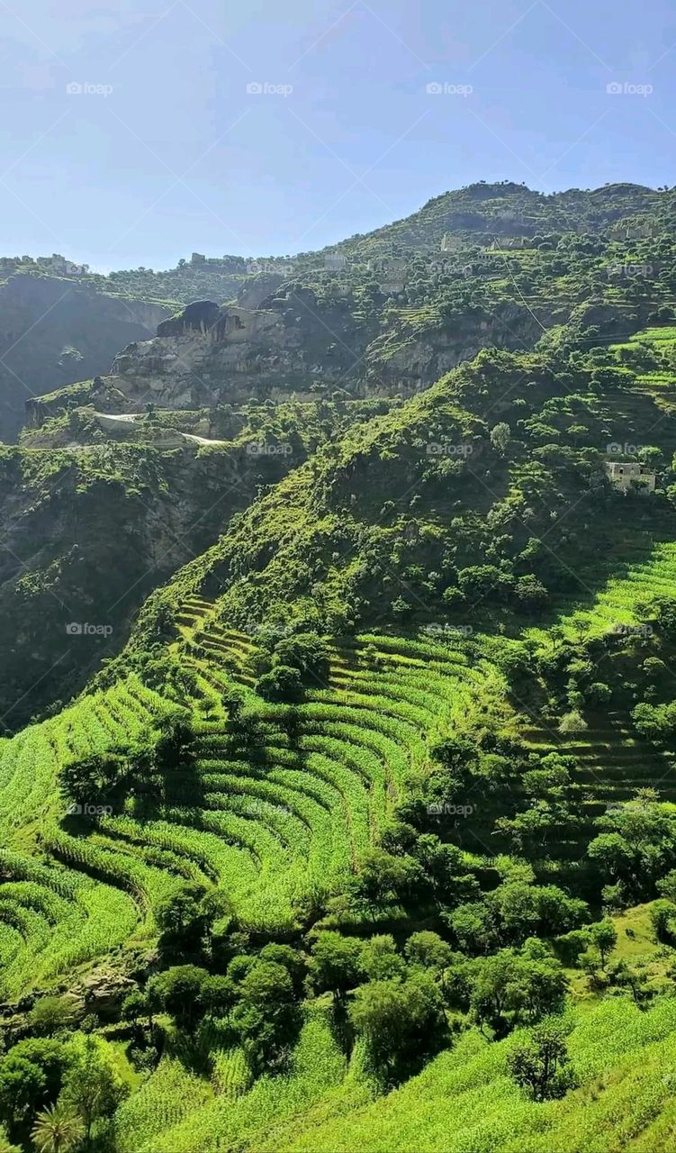 Glory be to God, the magnificent and picturesque view and the natural green trees are a view that is nothing more wonderful than it