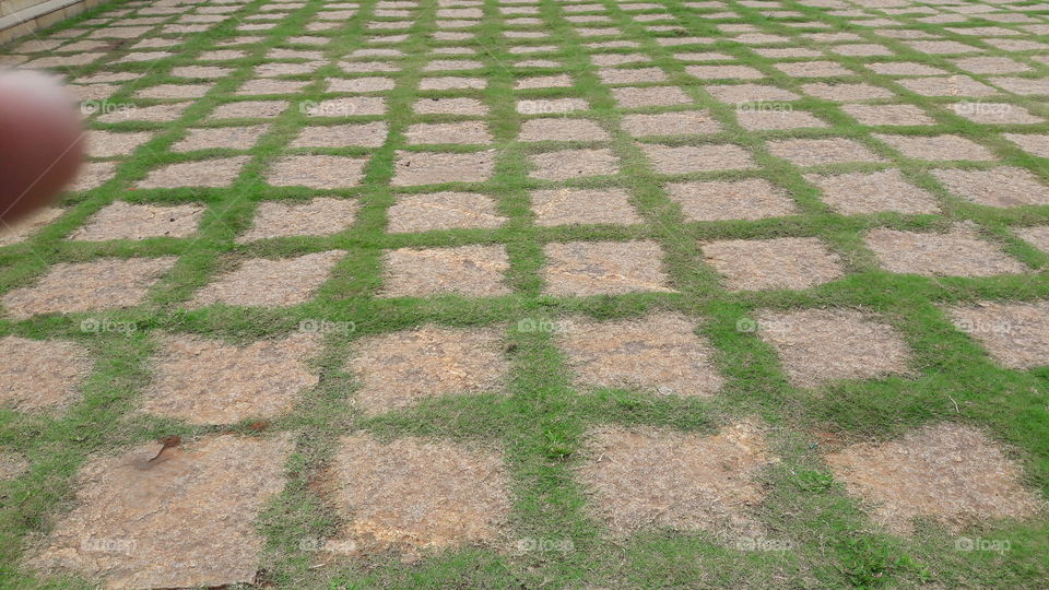 No Person, Pattern, Texture, Desktop, Grass