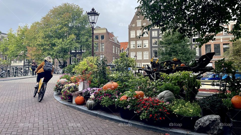 The Beginning of Autumn in Amsterdam