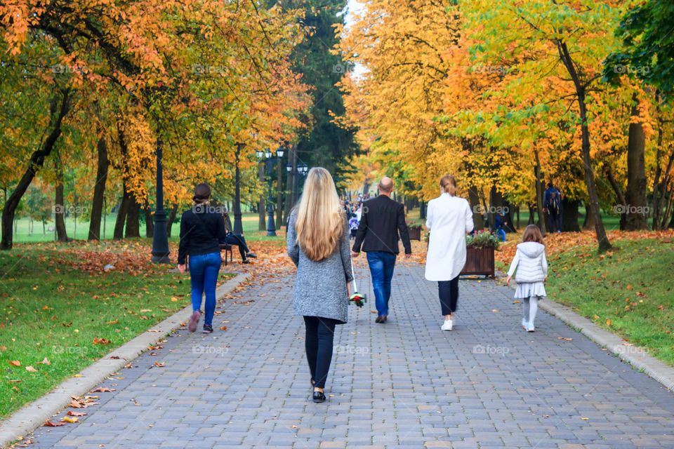 evening walk in the autumn park