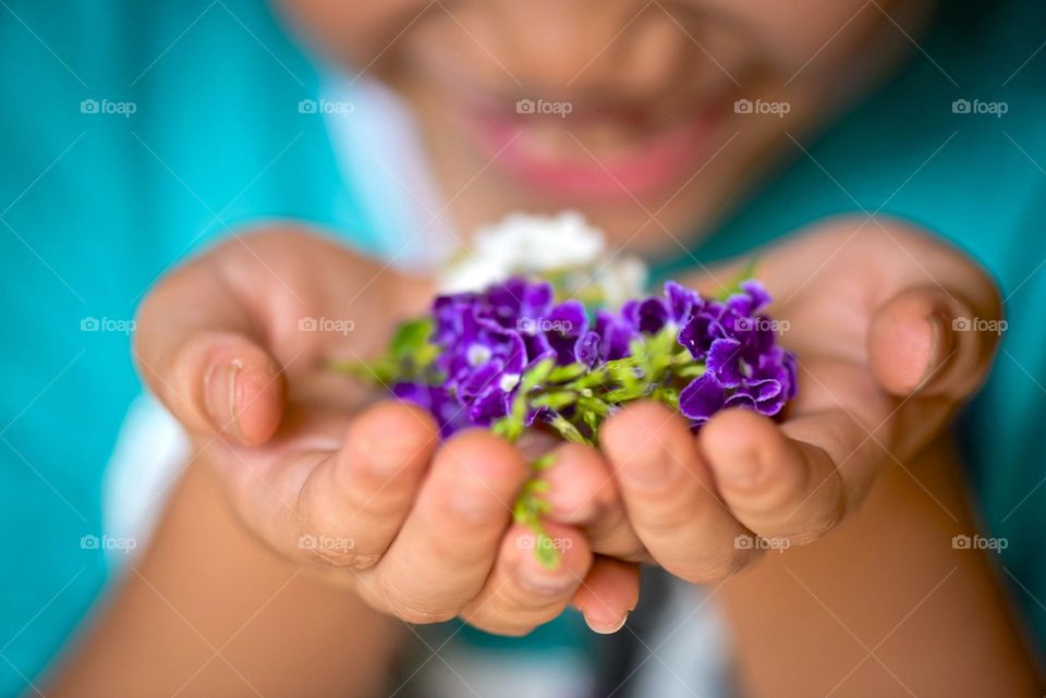 Hands holding fresh purple flowers