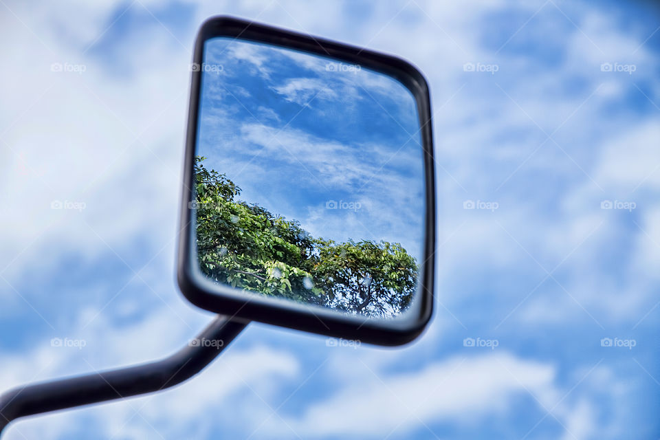 Reflection of tree in side mirror
