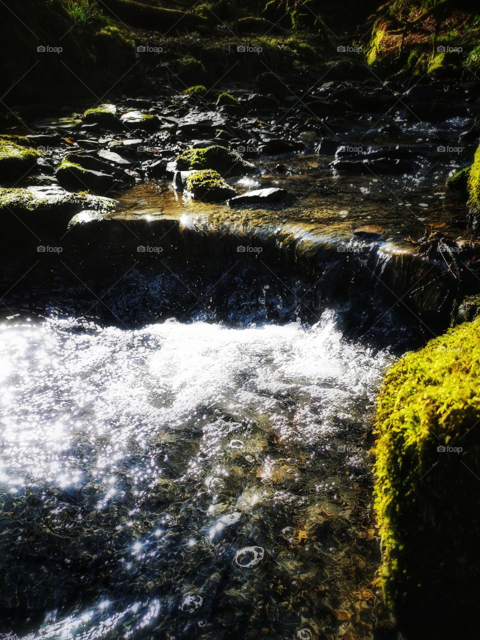 Stream in the glen