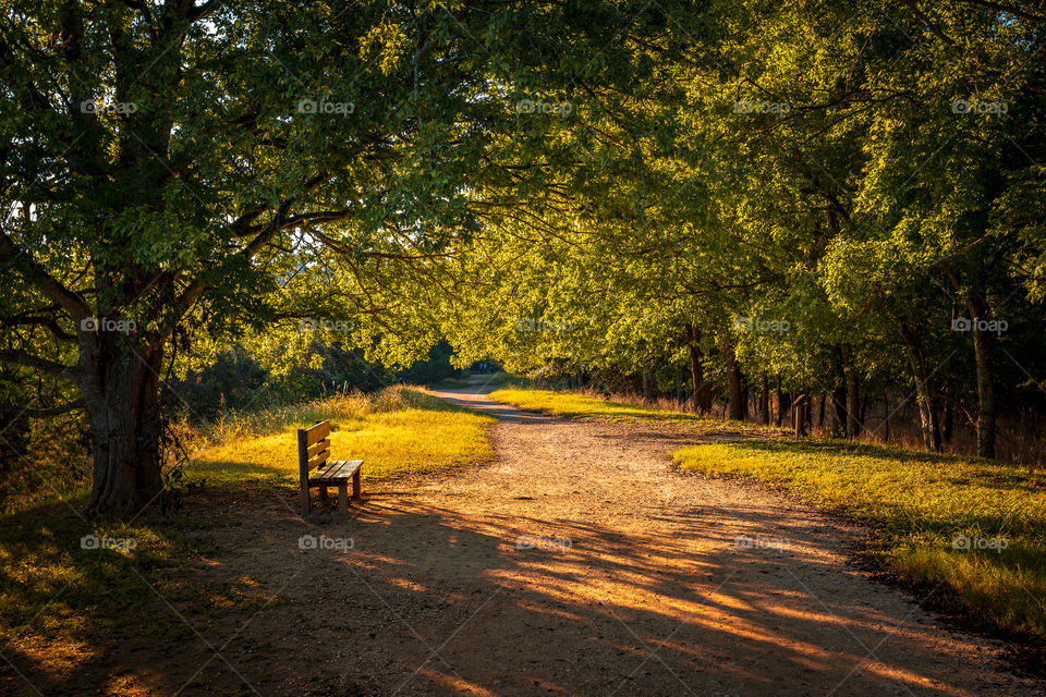 An empty bench sits beside a wooded path as the warm morning sun peeks over the trees washing the trail with the glow of golden light from the sunrise