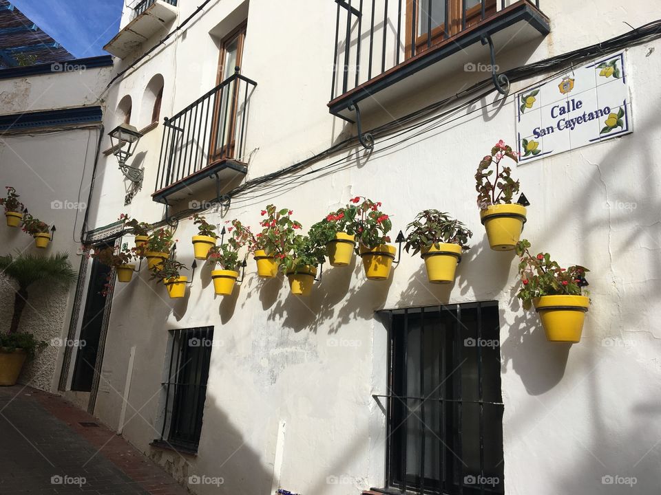 My dear Foapers’ choice 5