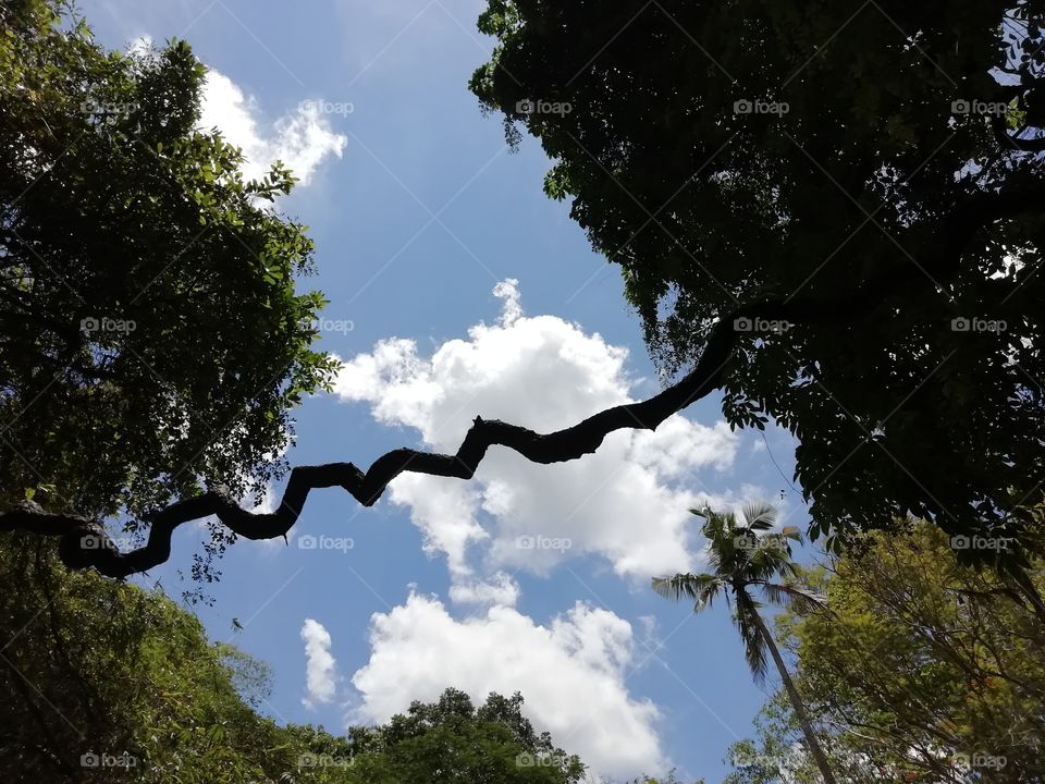Beautiful day # beautiful sky with trees around💛