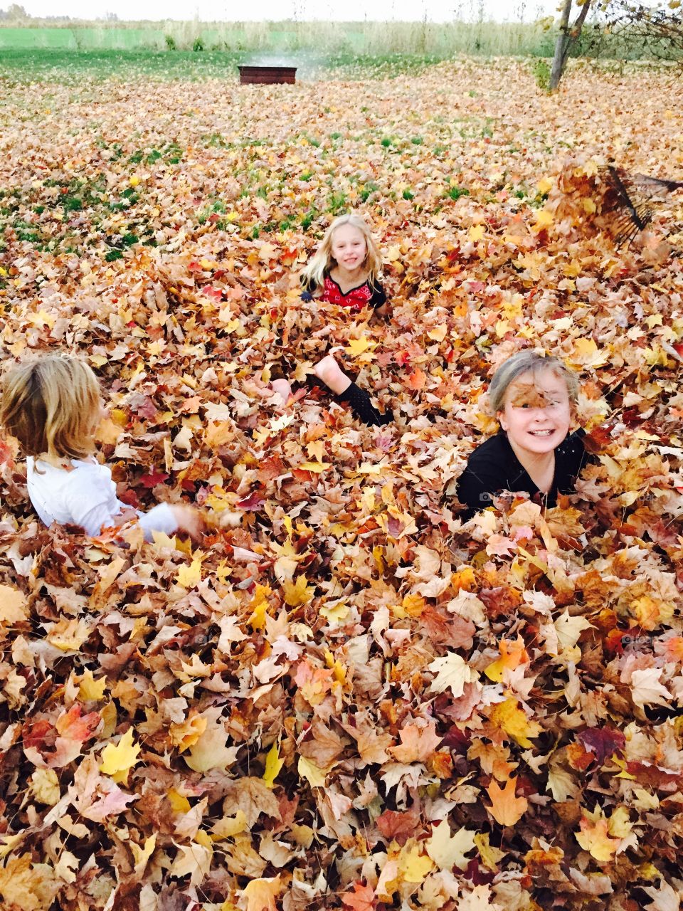 Fun in the leaves. Family fun in a leaf pile! 