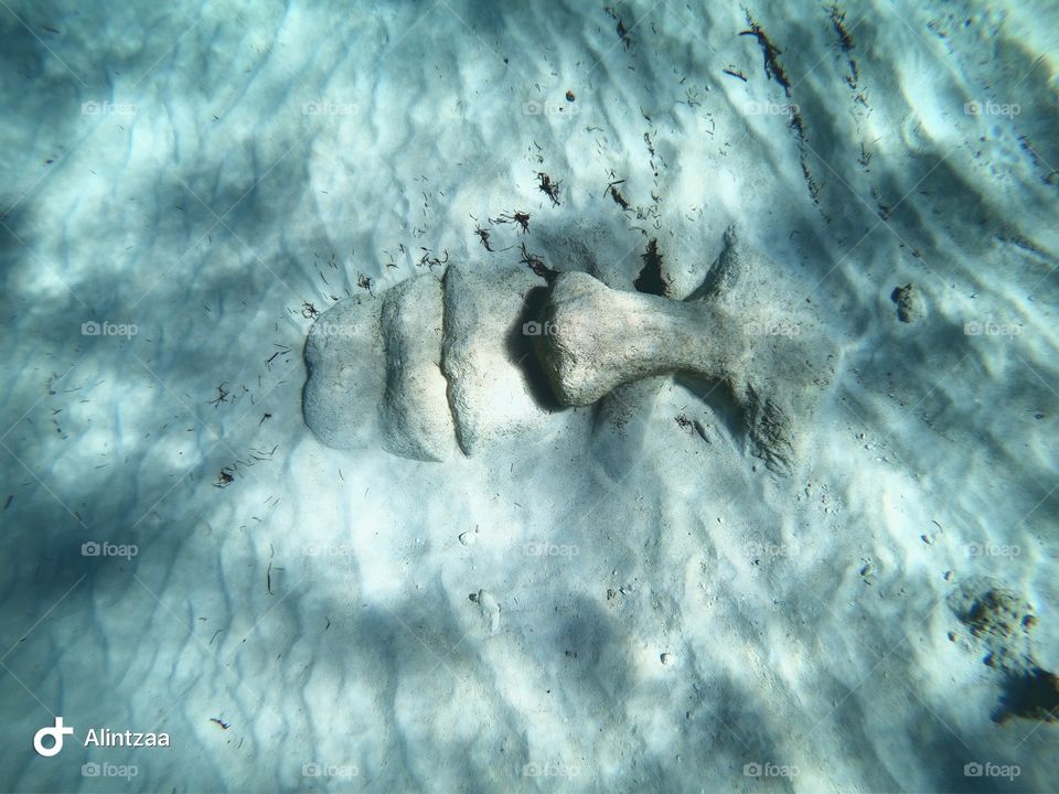 Underwater statue in bahamas 
