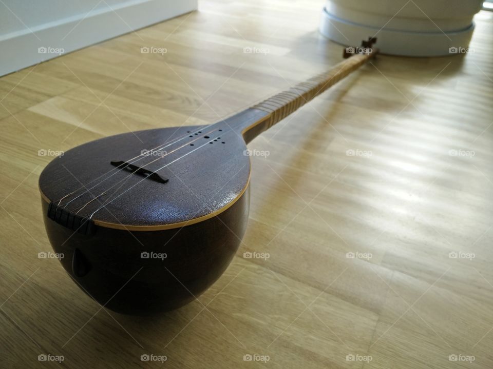 music instrument. the persian traditional music instrument