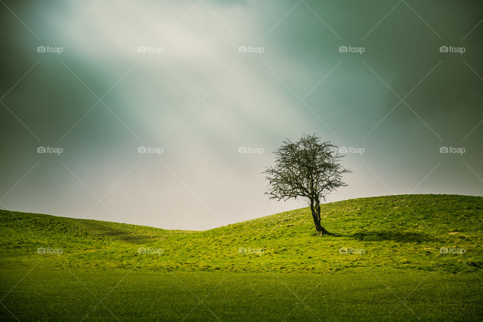 No Person, Landscape, Grass, Nature, Sky