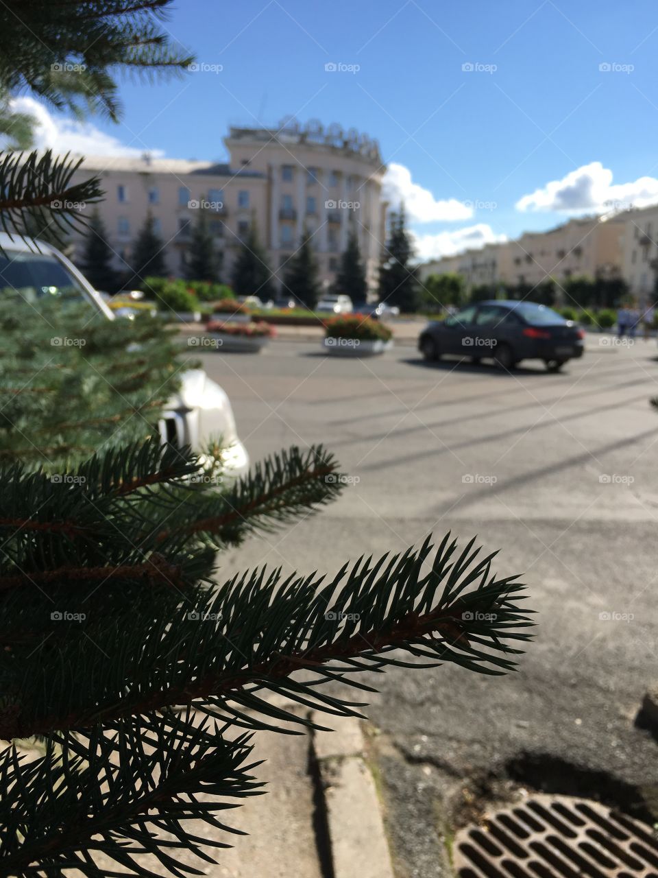 fir-tree branches and town square in the Siberian closed city