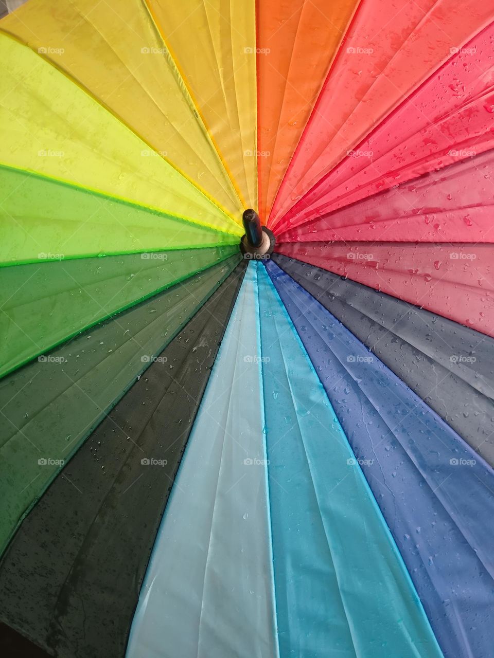 colorful umbrella