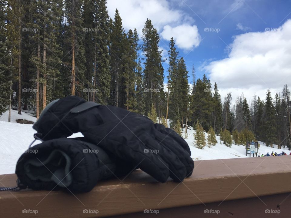 Ski gloves in the snow