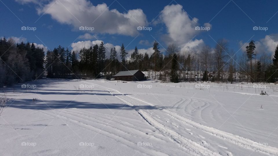 Snowy farm@Finland