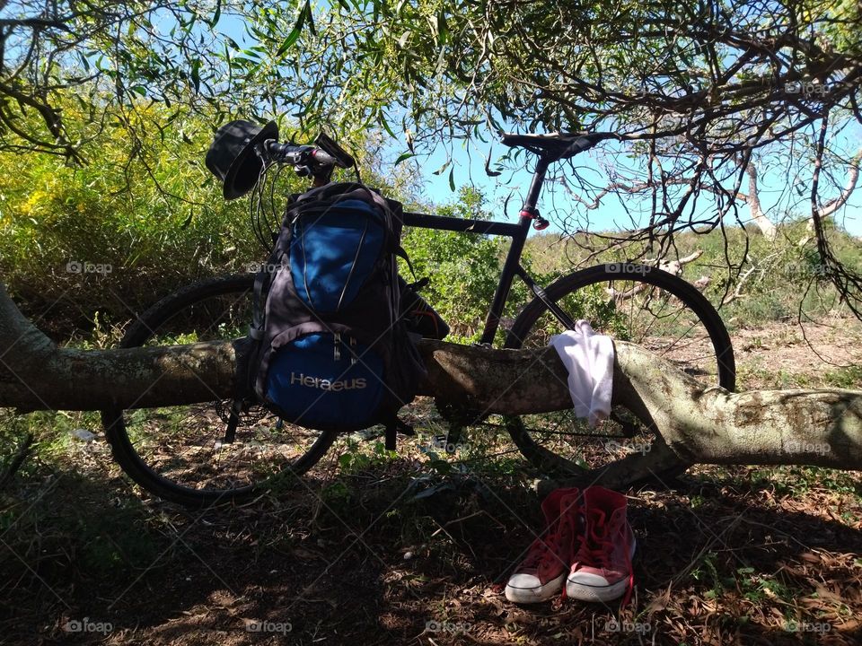 Bike and nature