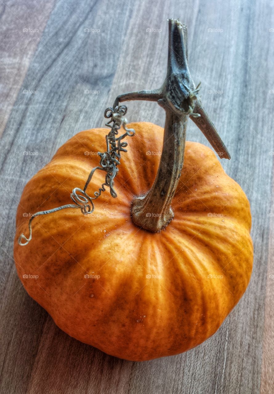 Mini Pumpkin