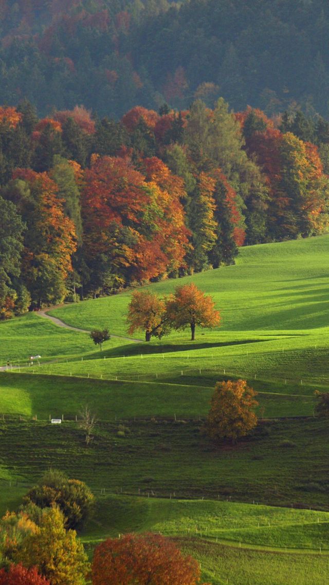 nature