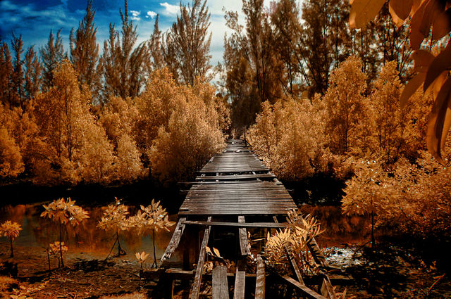 broken bridge