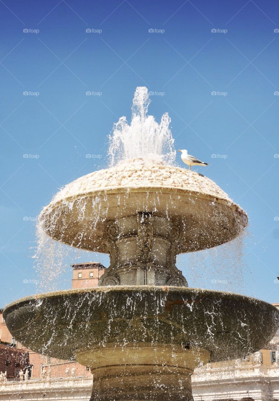 vaticano fontain 