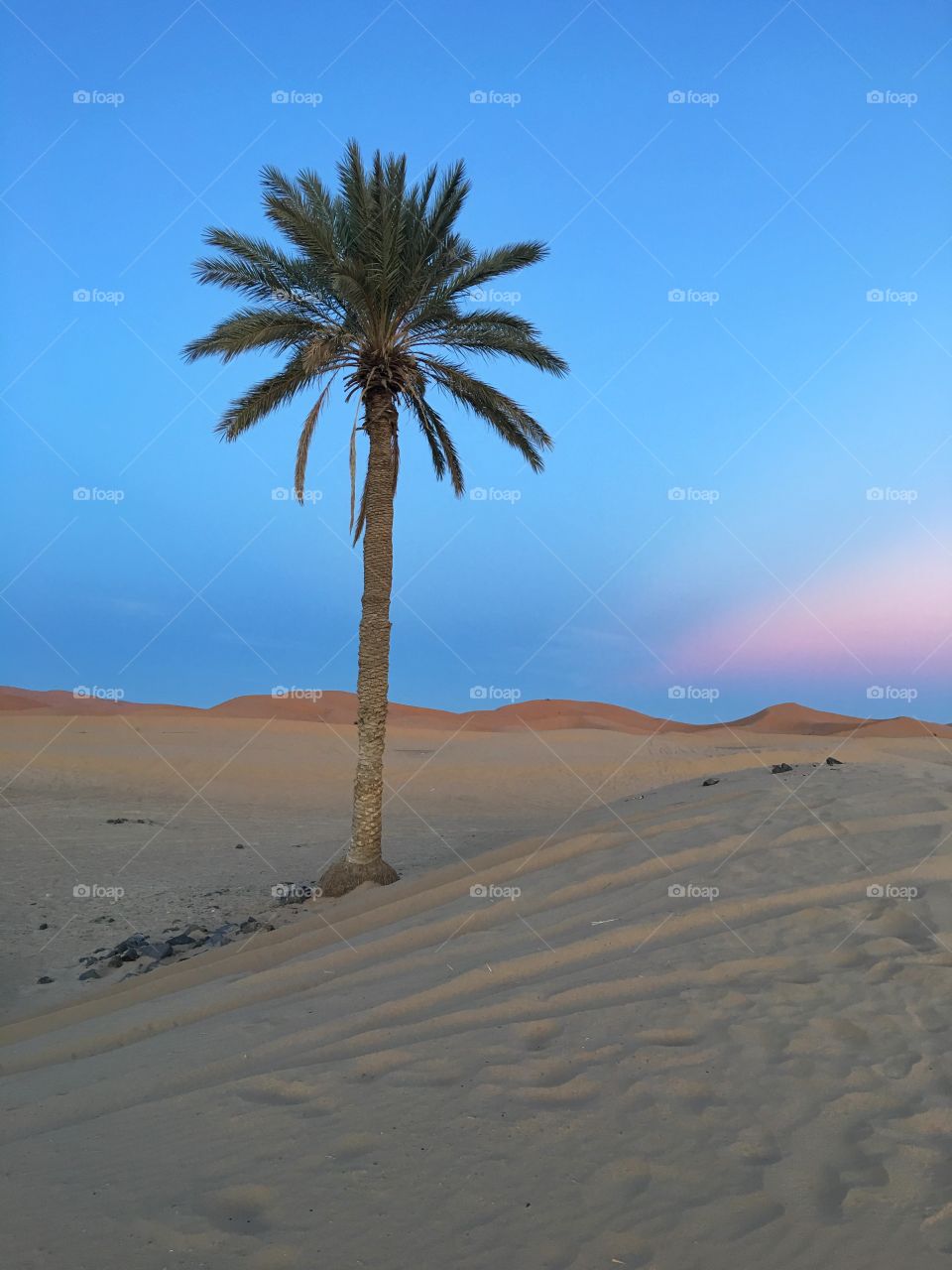 Sand, Beach, Desert, Seashore, No Person