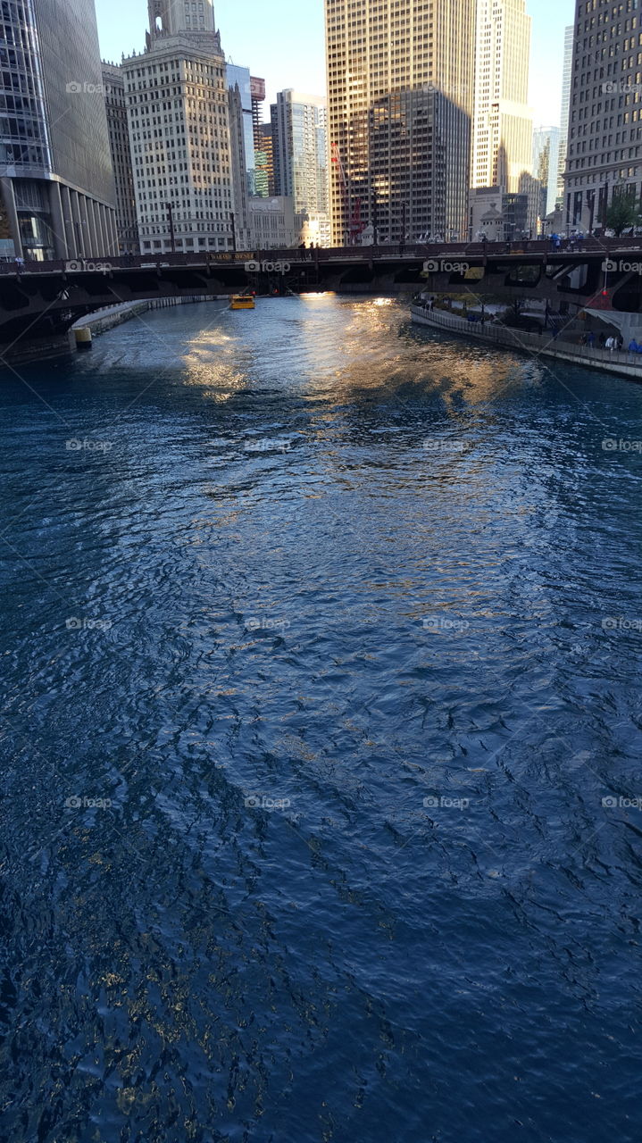 chicago river dyed blue