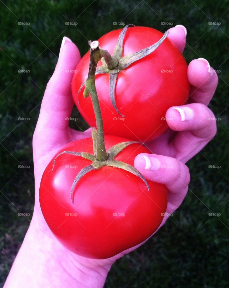 Spring pickings