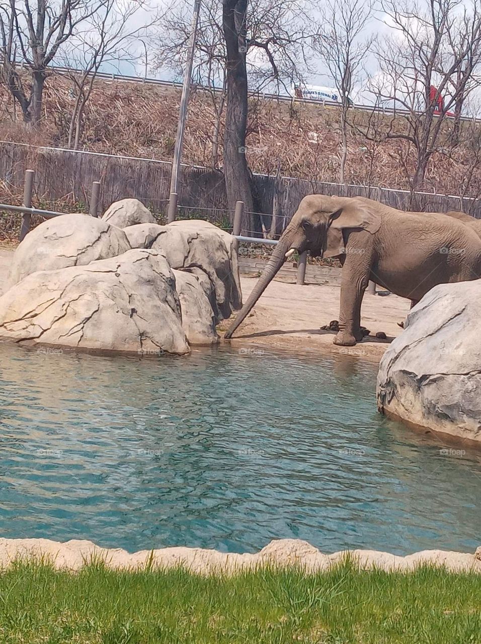 an elephant never forgets to hydrate