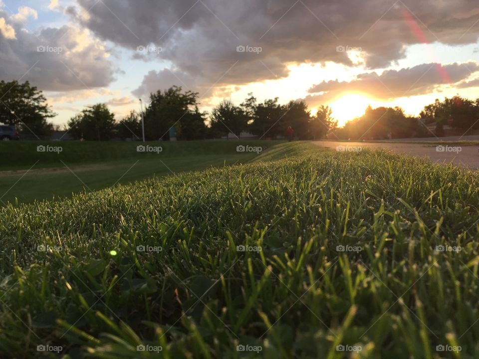 Grassy hill at sunset