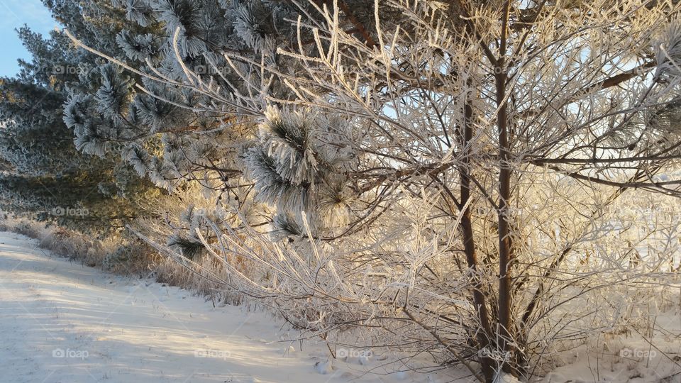 winter in Wisconsin