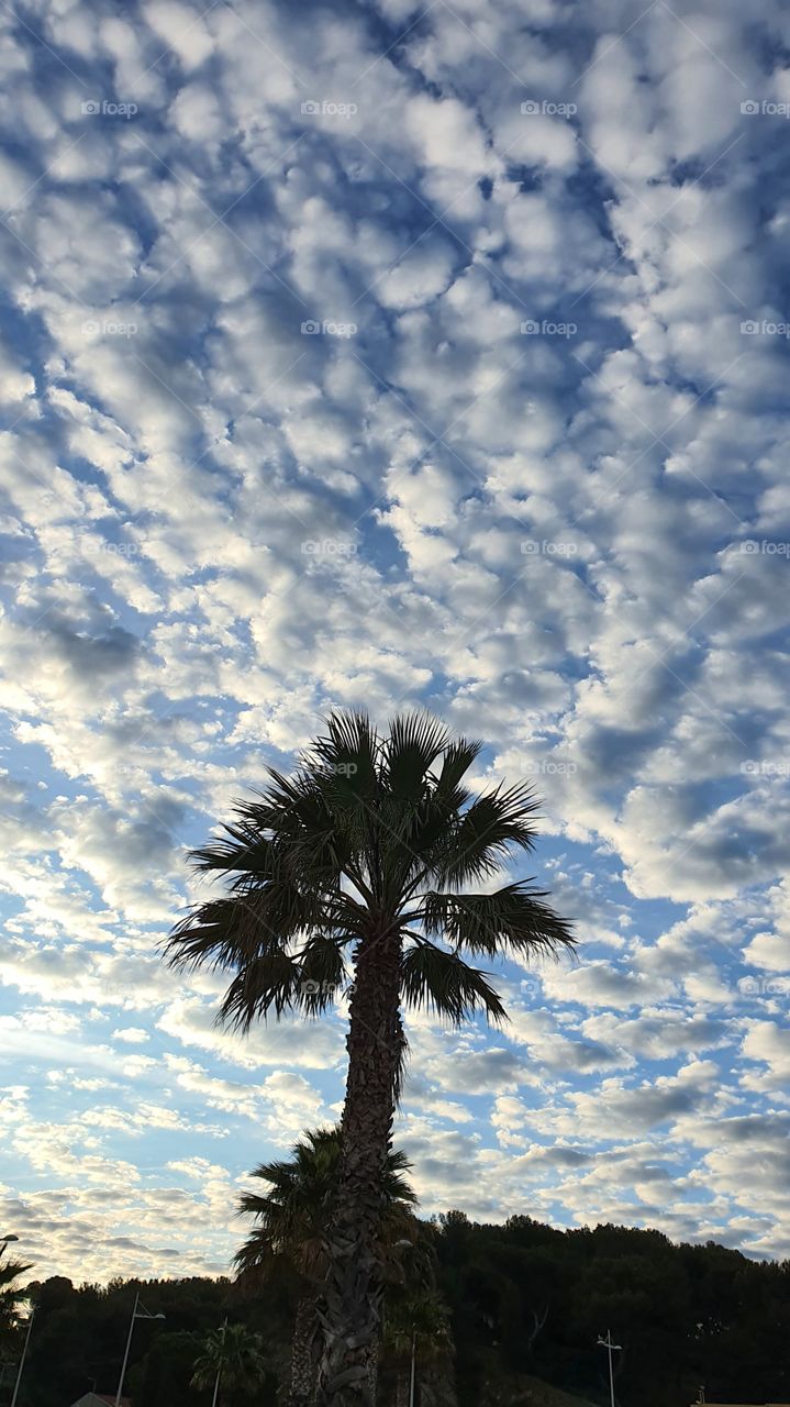 three in the morning