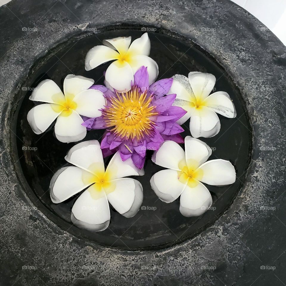 frangipani & lotus bath