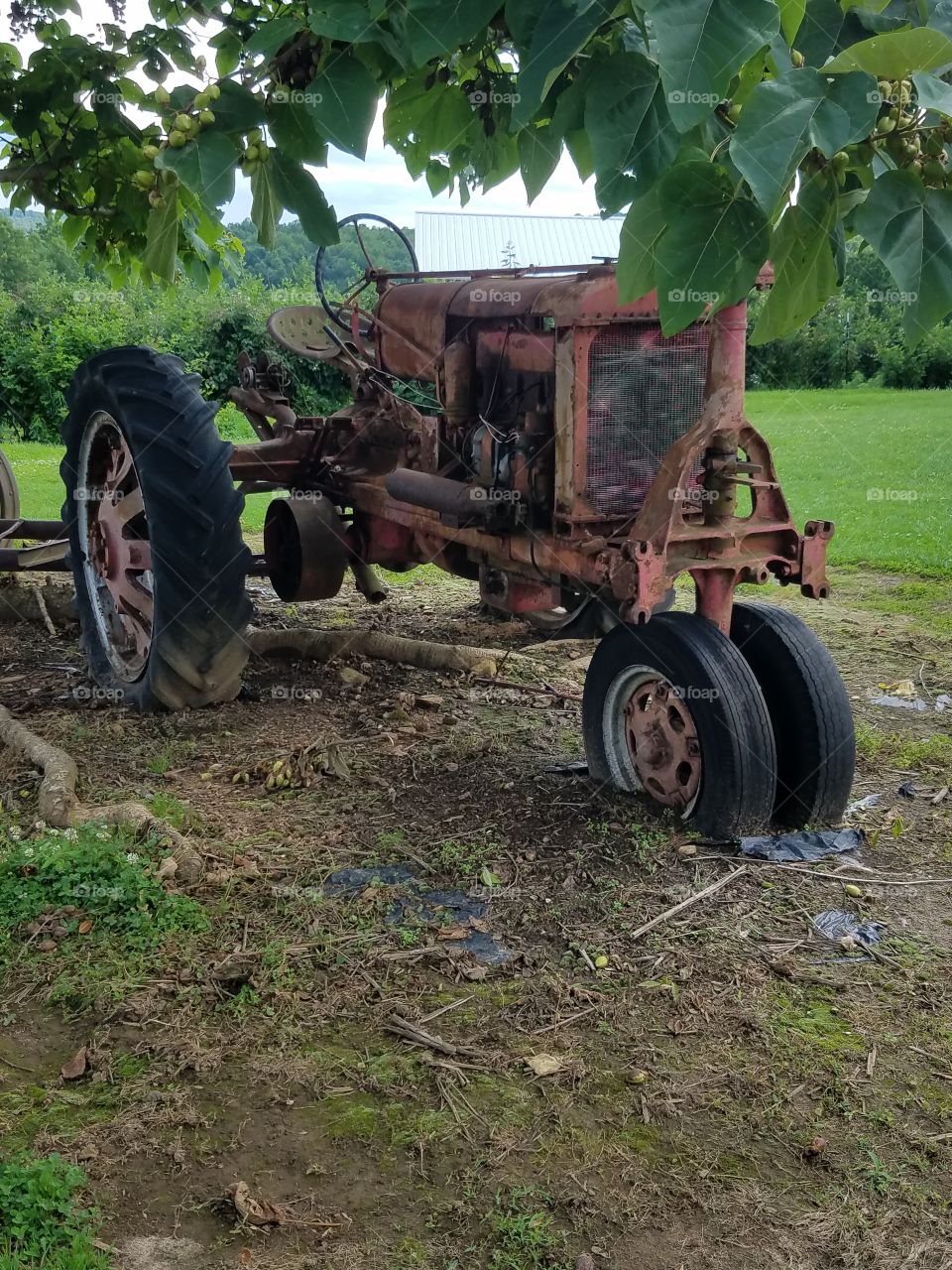 Agriculture, Farm, Vehicle, Wheel, Tractor
