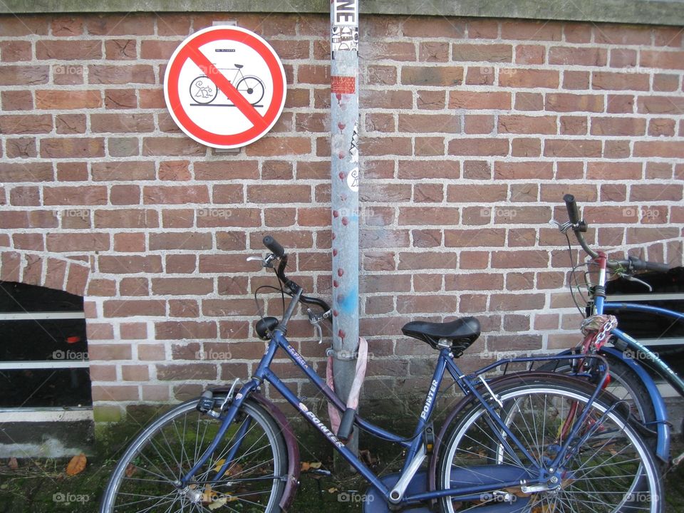 Cycle Love-Amsterdam