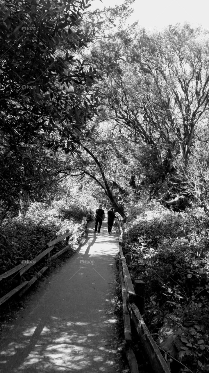 Father and daughter walking in park