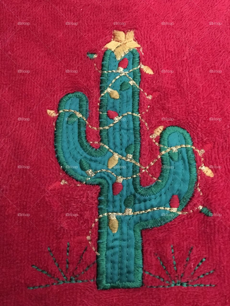 Cactus with Christmas lights appliqué 