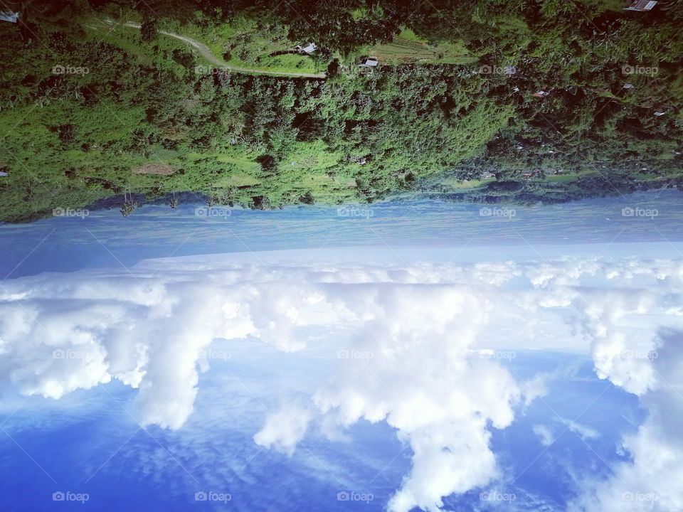 Upside-down Photography