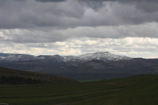 Landscap