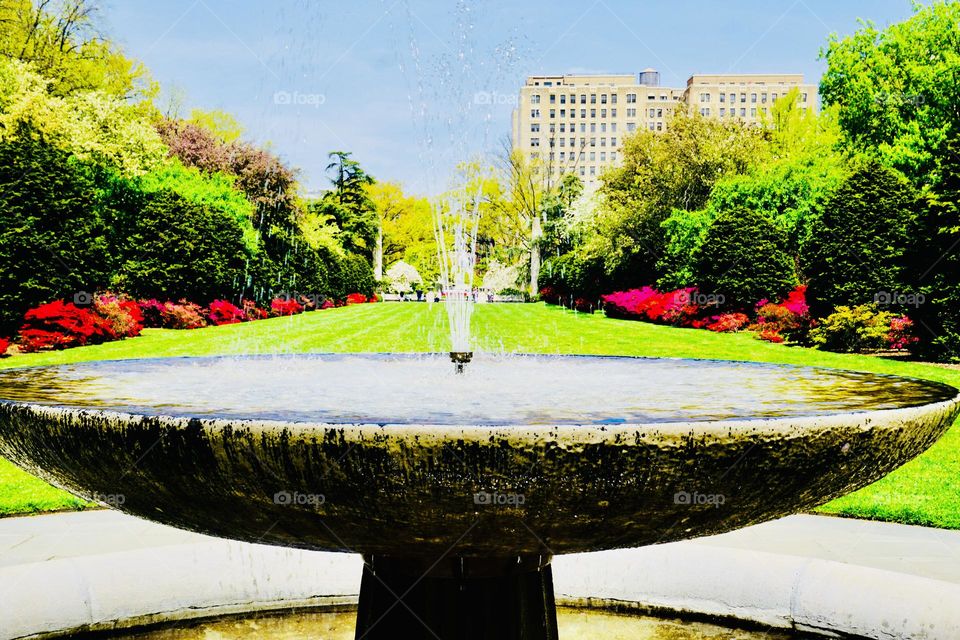 The semiformal Osborne Garden in the Brooklyn Botanic Garden at it’s colorful with azaleas and crabapple blossoms. 